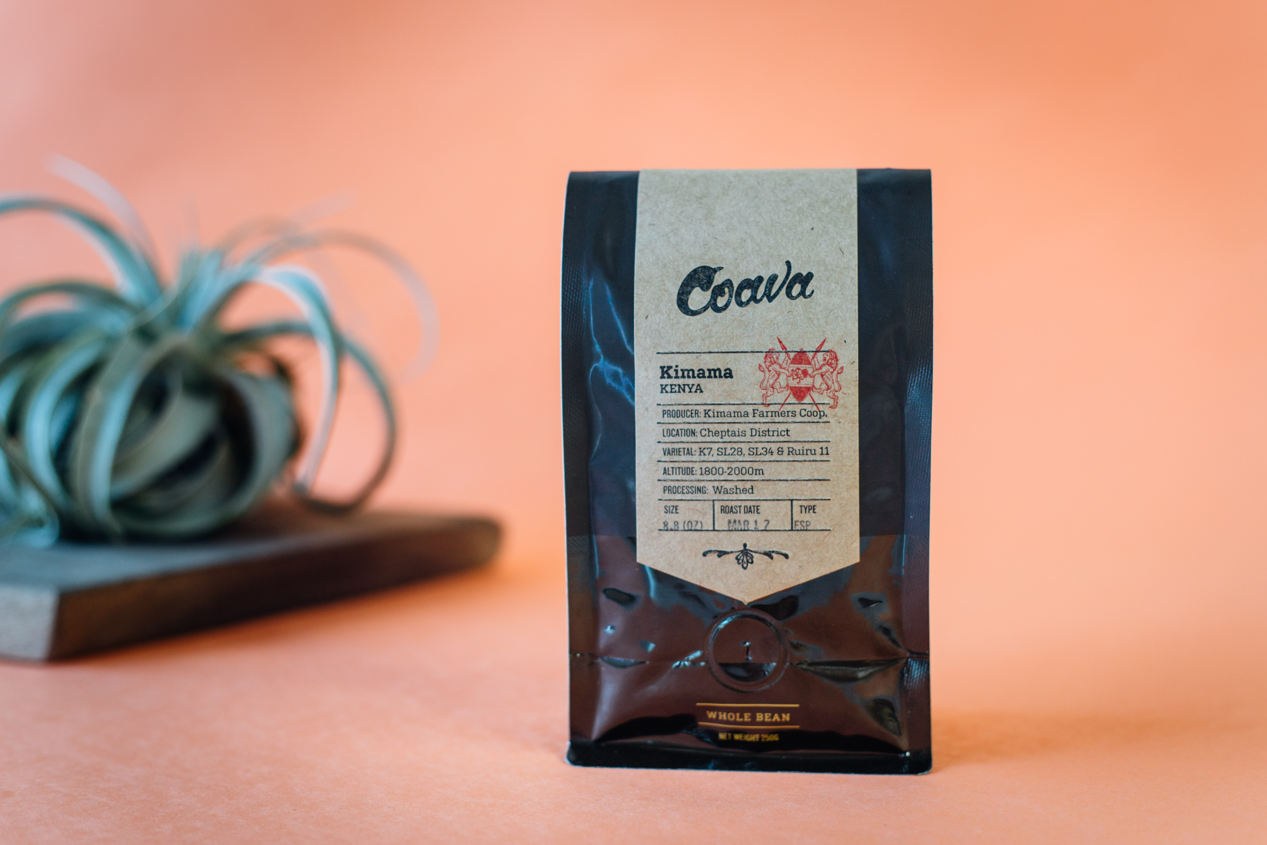 Coava Coffee Roasters